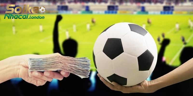 Chuyên mục chia thành nhiều tiểu mục phân tích riêng biệt