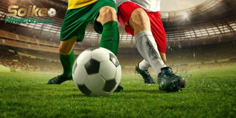 Chuyên mục đi sâu vào khía cạnh chuyên môn và toàn diện