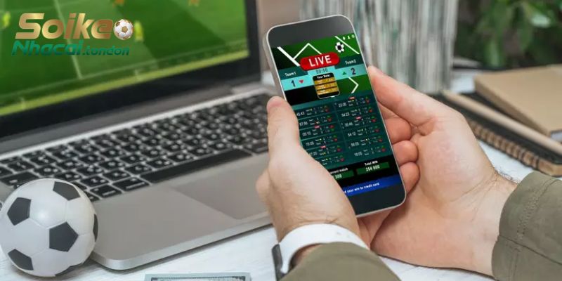 Giới thiệu trang web cá cược thể thao uy tín hàng đầu