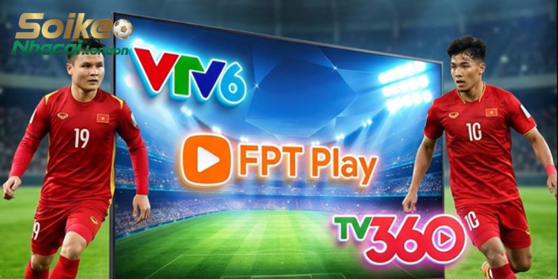 Nền tảng số trực tuyến phát sóng khá đầy đủ